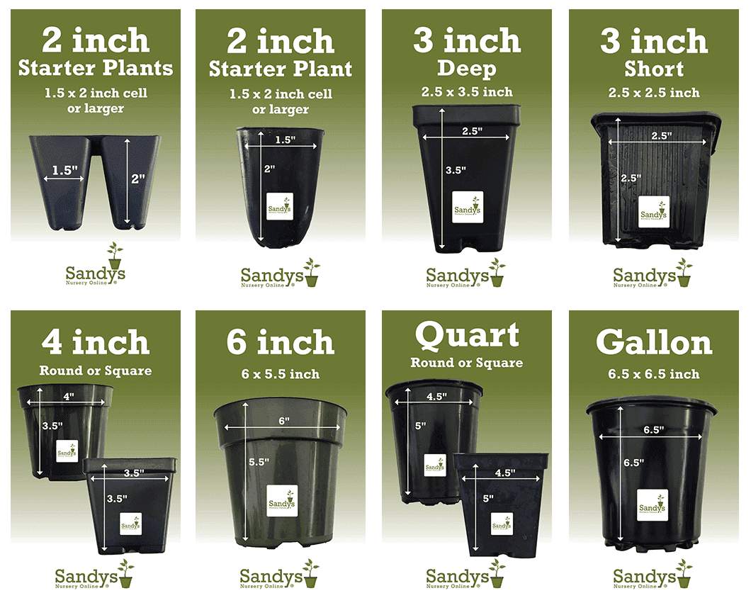 thumbnail image 2 of Pplushe 5 Pack Black Plastic Nursery Pots - 20/25 Gallon Fabric Grow Round Plant Containers 2 of 2
