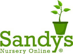 Sandys Nursery Online logo
