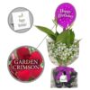 Mandeville Garden Crimson All Included Gift Pack, Starter Plant Lot of 2 for Mother's Day, Happy Birthday, Smiley Face, Butterfly or I Love You!